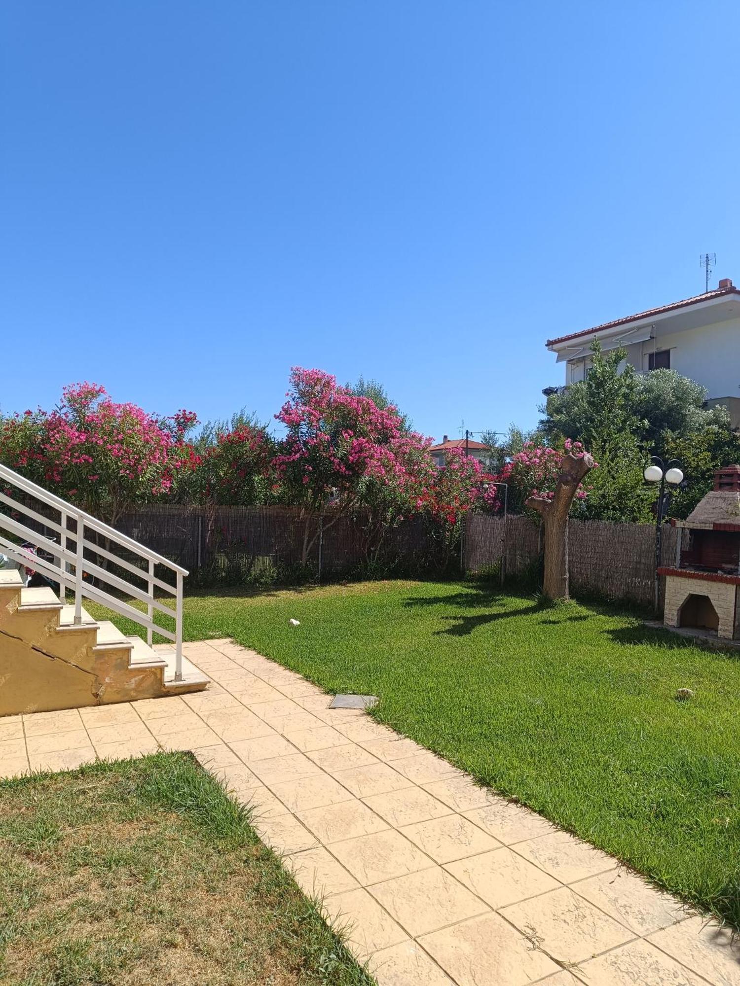 Dimar1 Seaside Apartment Παραλία Διονυσίου Εξωτερικό φωτογραφία