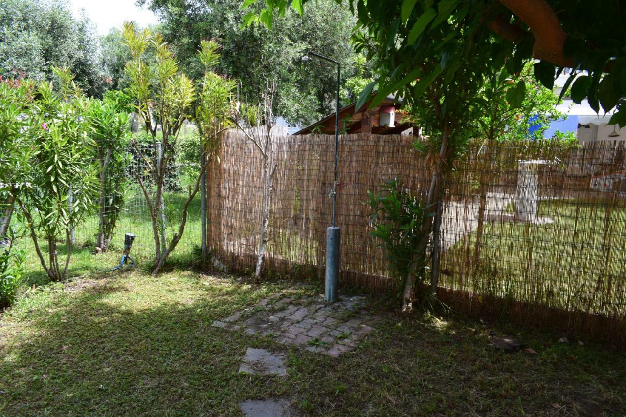 Dimar1 Seaside Apartment Παραλία Διονυσίου Εξωτερικό φωτογραφία