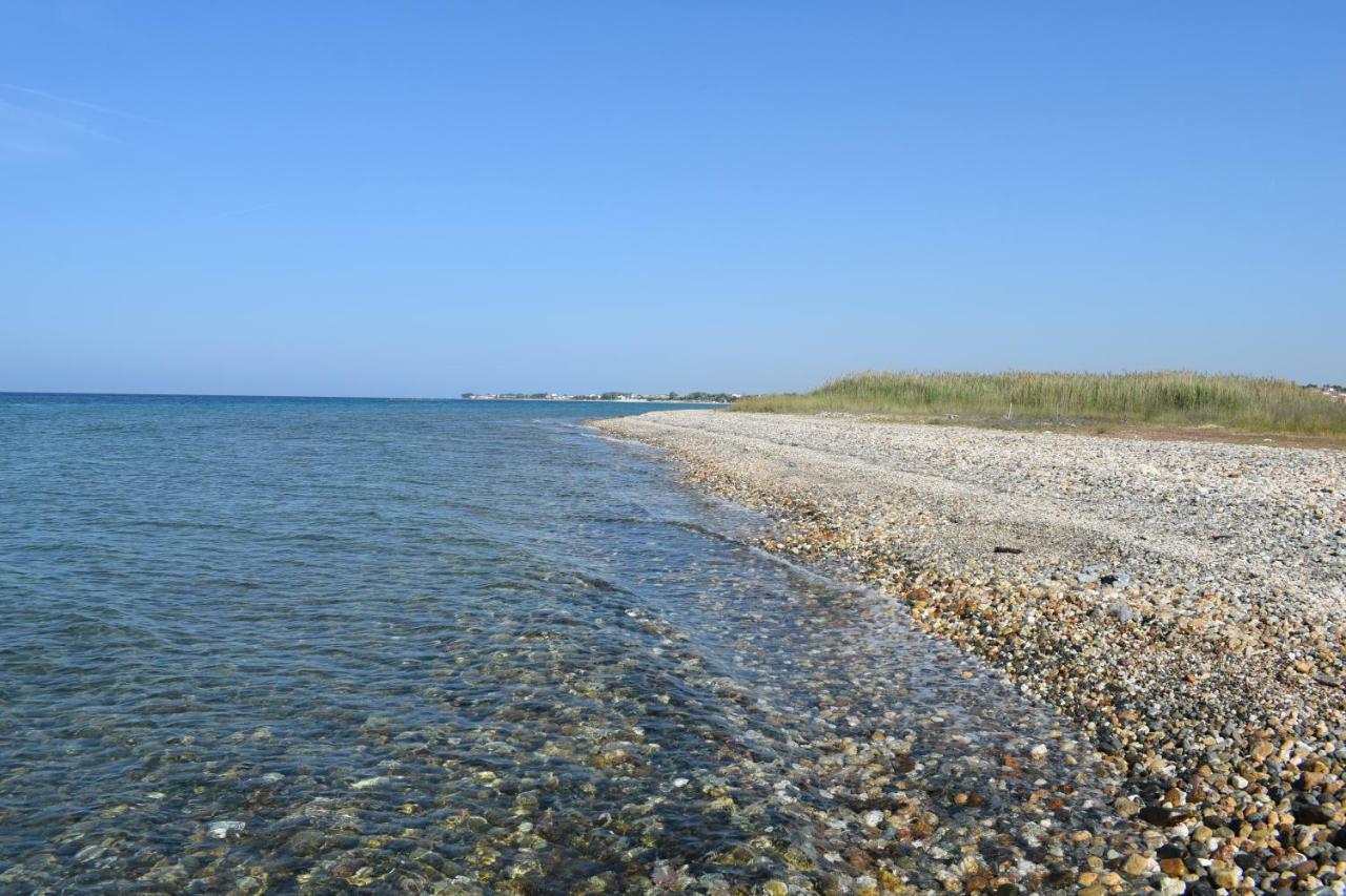 Dimar1 Seaside Apartment Παραλία Διονυσίου Εξωτερικό φωτογραφία