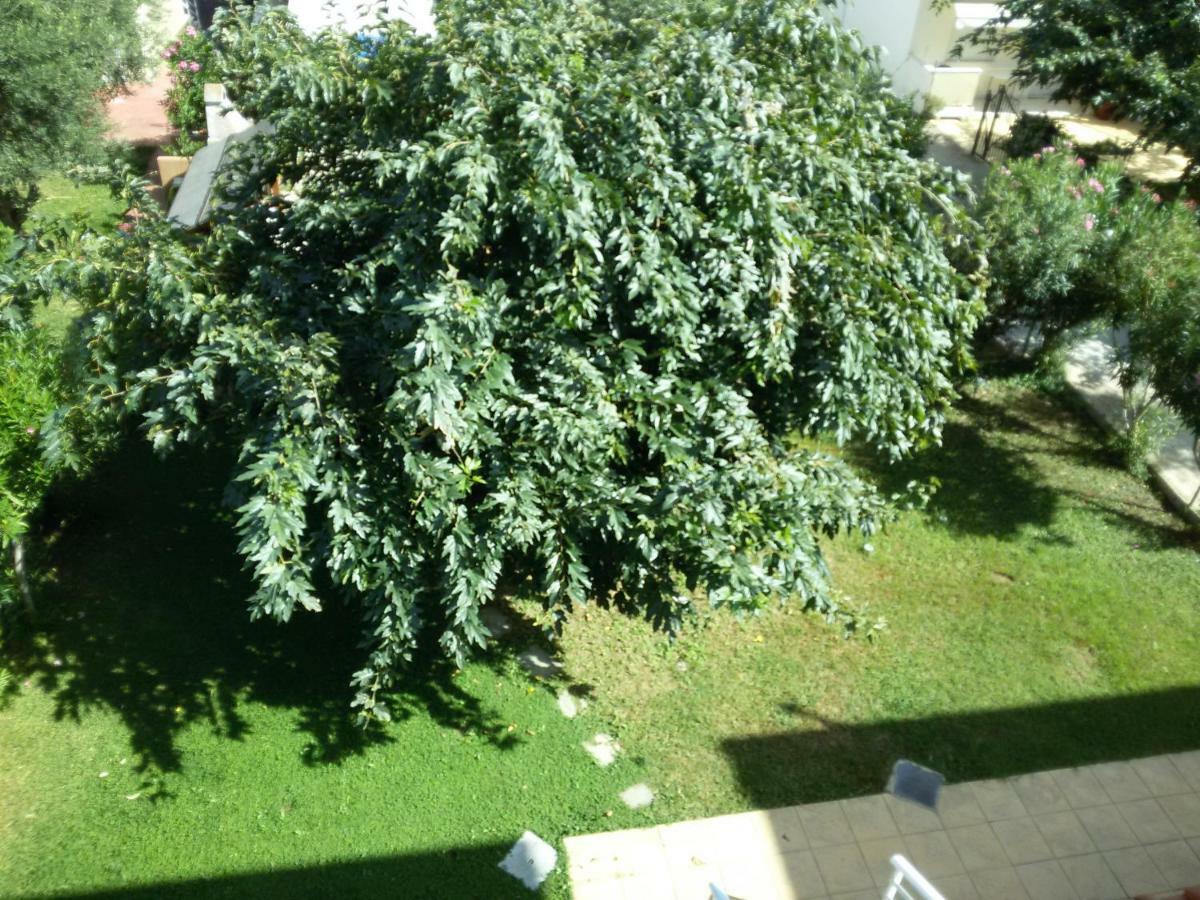 Dimar1 Seaside Apartment Παραλία Διονυσίου Εξωτερικό φωτογραφία